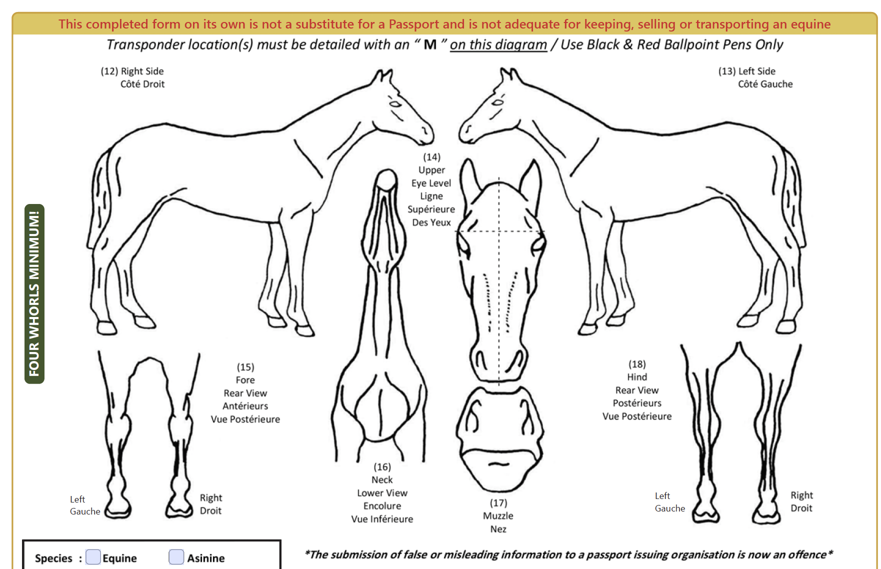Leisure Horse Ireland marking chart silhouette